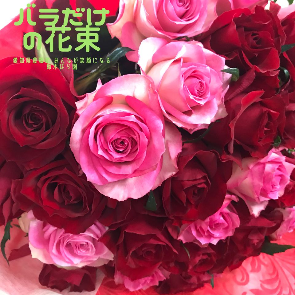 鈴木ばら園 Line Official Account