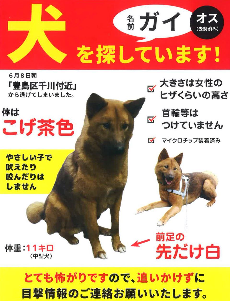 Recent Media あさか台動物病院