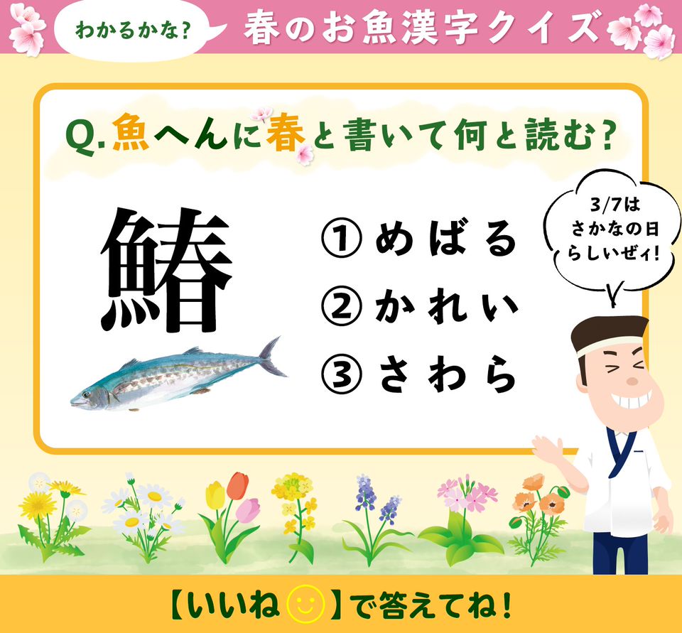 Mixed Media Feed 宅配寿司 銀のさら