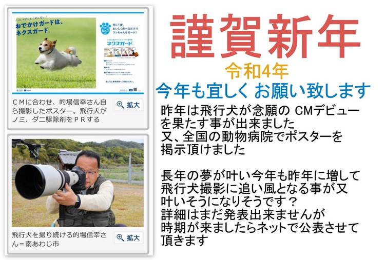 Mixed Media Feed 飛行犬撮影所 スカイ Line Official Account