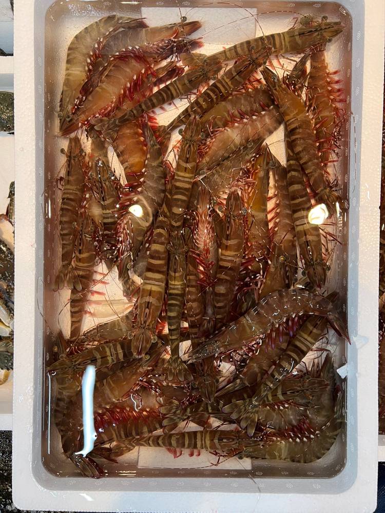 株式会社 信国 Line Official Account