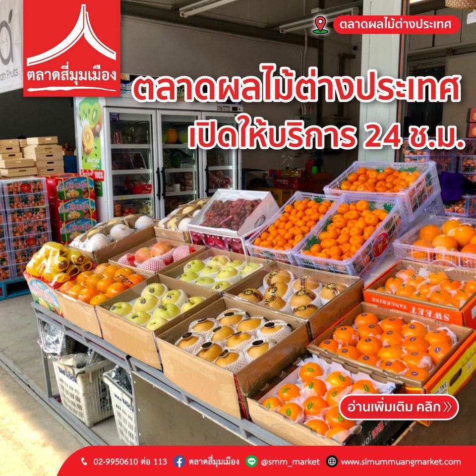 Recent Media à¸•à¸¥à¸²à¸