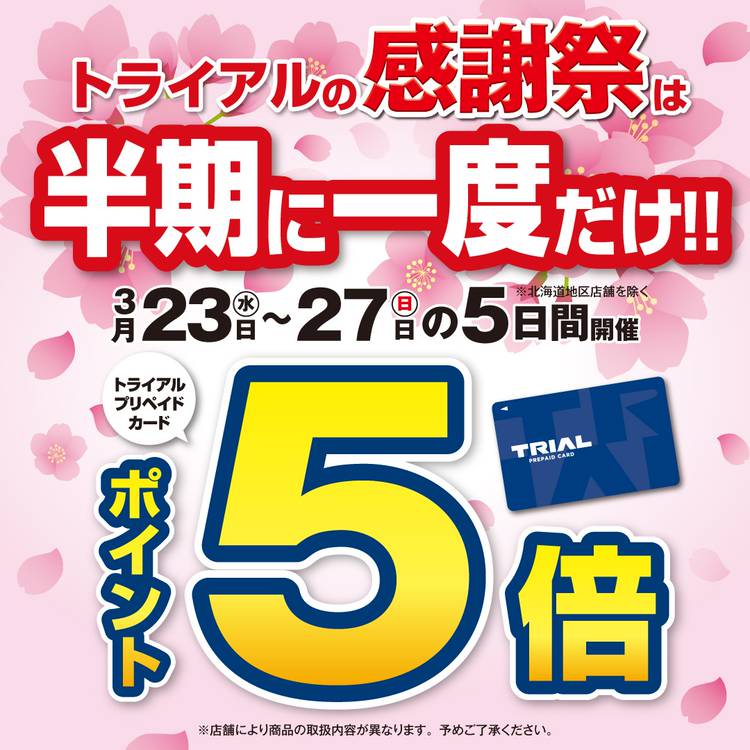 Mixed Media Feed Trial トライアル Line Official Account
