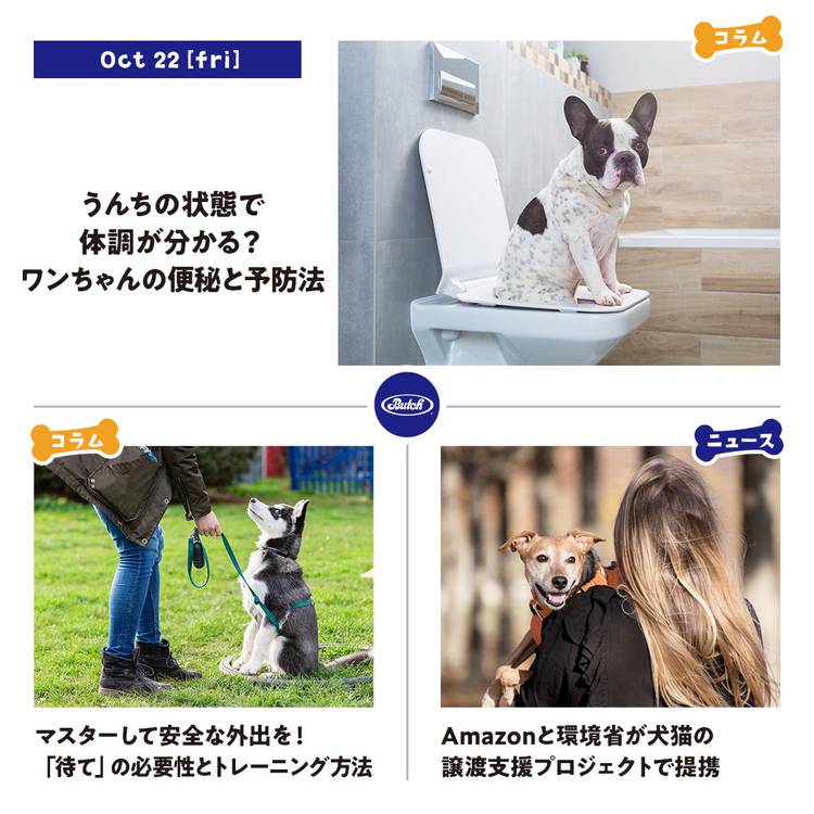 Mixed Media Feed ブッチ ジャパン Line Official Account