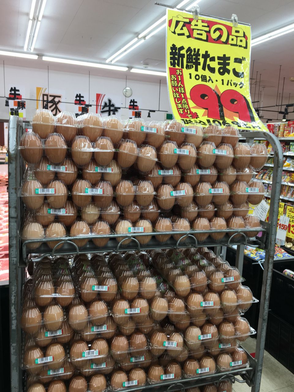 てらお 広告 てらお 八千代店 広告