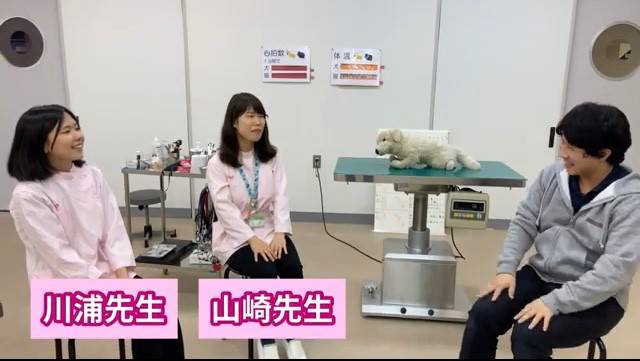 神戸動植物環境専門学校 Line Official Account