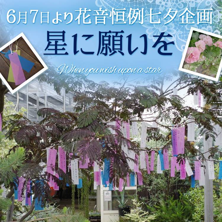 フラワーガーデン花音 Line Official Account