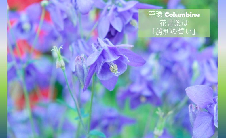 Recent Media 代ゼミ大阪南校