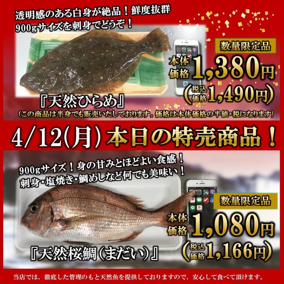 Recent Media くら天然魚市場