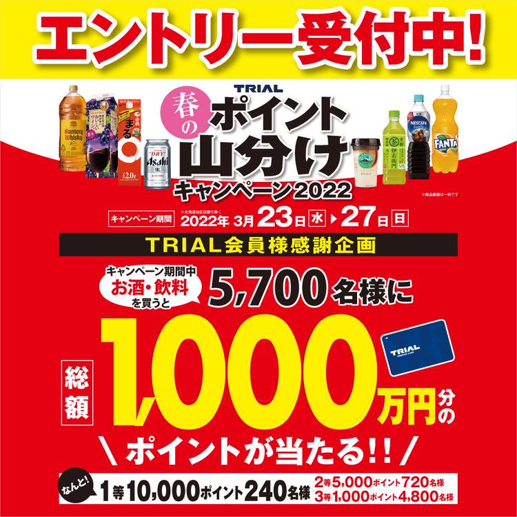 Mixed Media Feed Trial トライアル Line Official Account