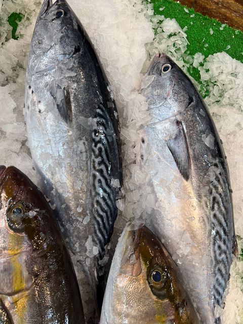 株式会社 信国 Line Official Account