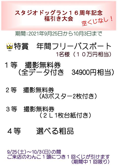 スタジオドッグラン Line Official Account