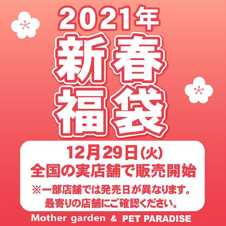 Mixed Media Feed 吉祥寺ペットパラダイス