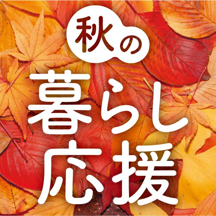 ミスターマックス 長住店 Line Official Account