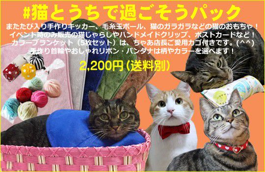 Recent Media 猫堂
