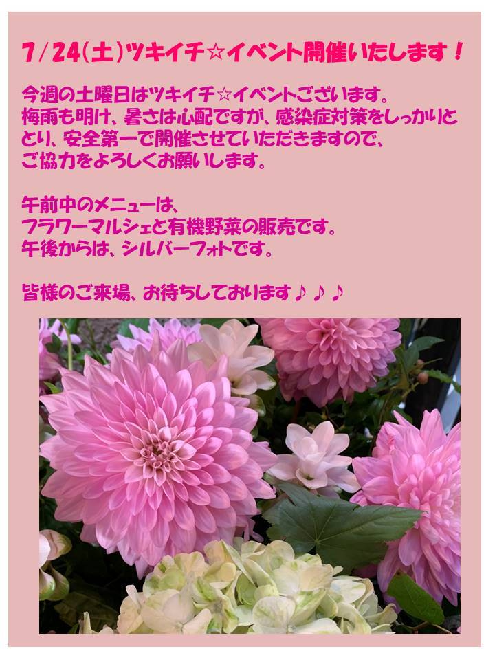 Mixed Media Feed 花堀江 Line Official Account