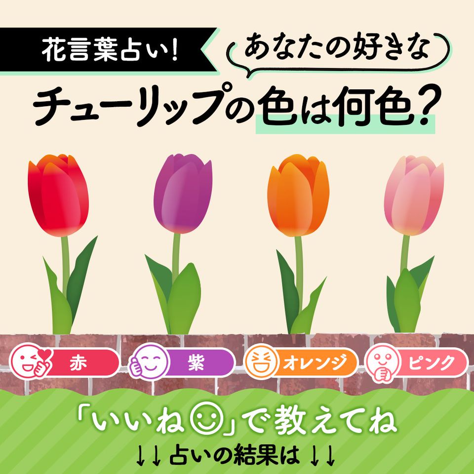 Mixed Media Feed カナデル