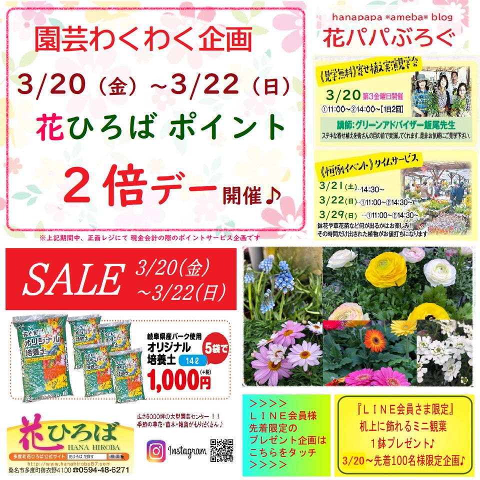 Recent Media 花ひろば 多度町の大きなお花屋さん