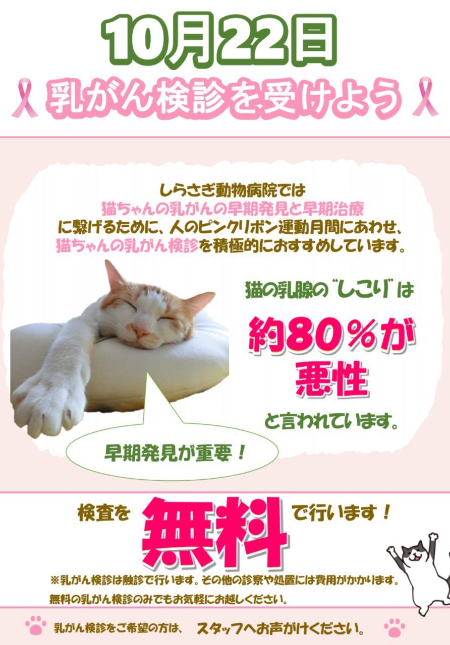 しらさぎ動物病院 Line Official Account