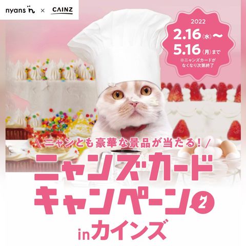 カインズ りんかんモール店 Line Official Account