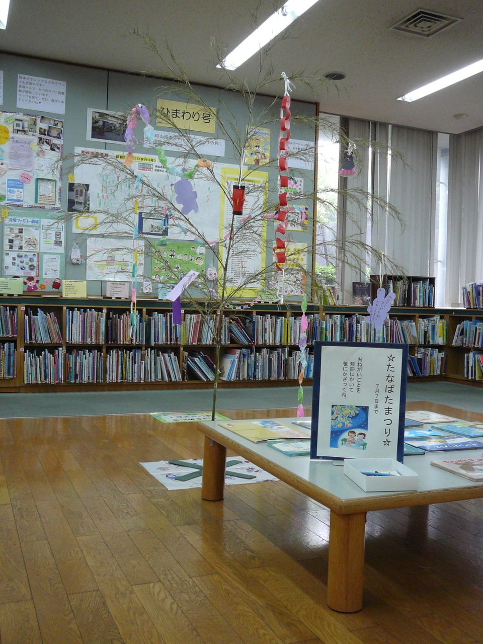 Mixed Media Feed 貝塚市