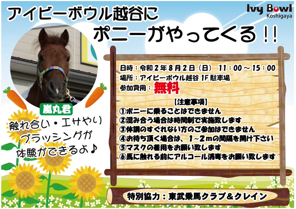 アイビーボウル越谷 Line Official Account