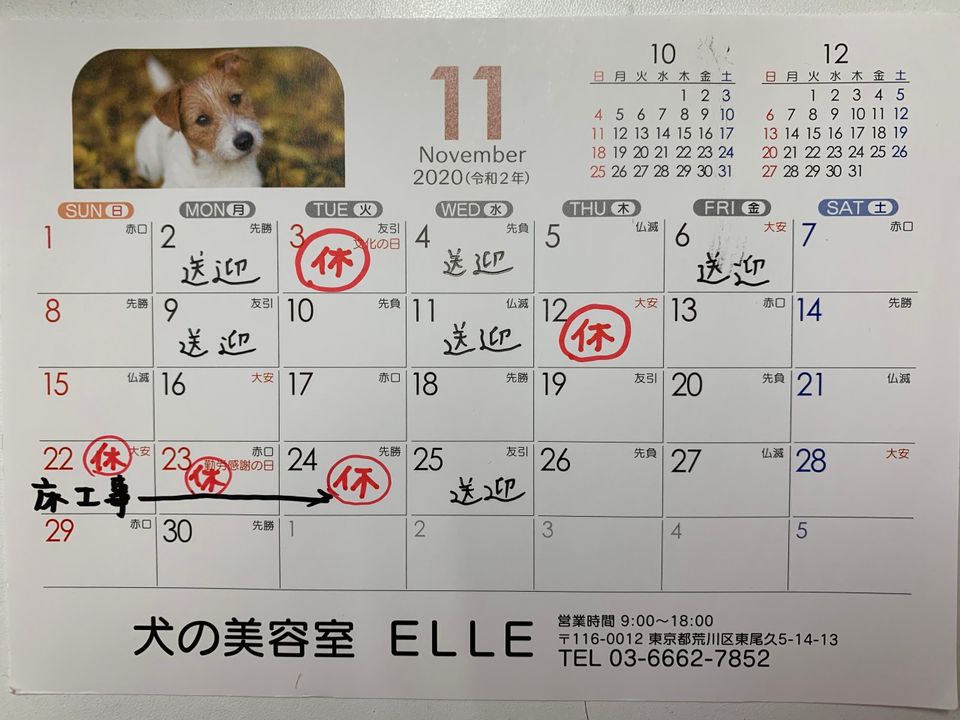 Mixed Media Feed 犬の美容室elle