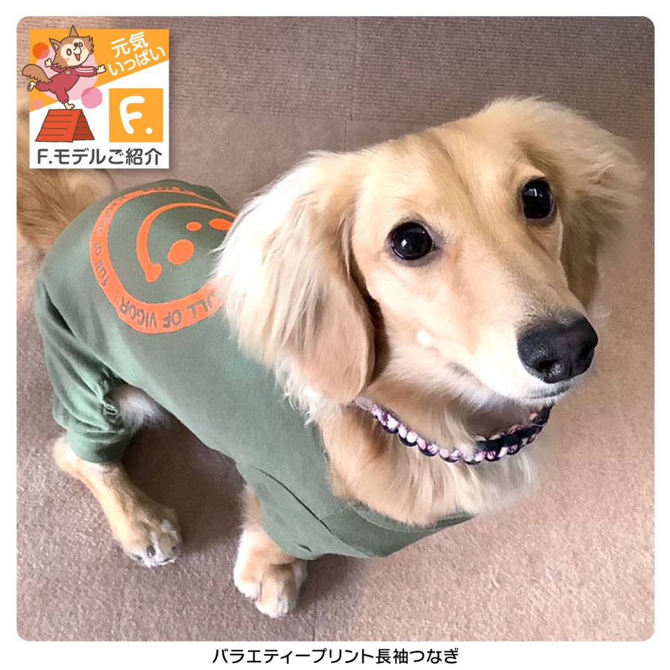 犬 抱っこ紐 作り方
