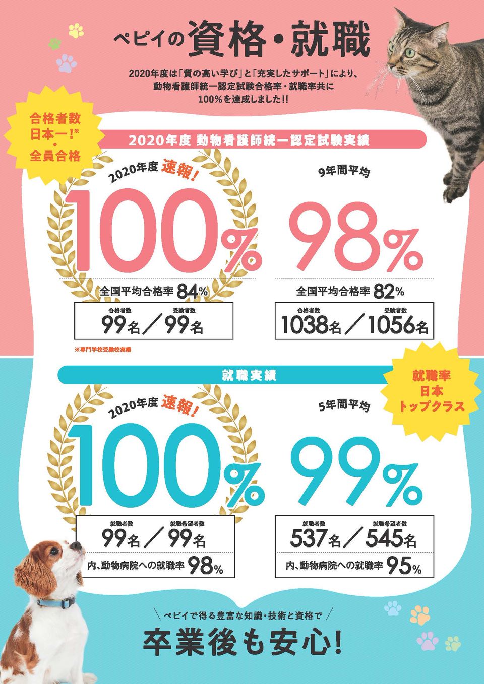 Recent Media 大阪ペピイ動物看護専門学校