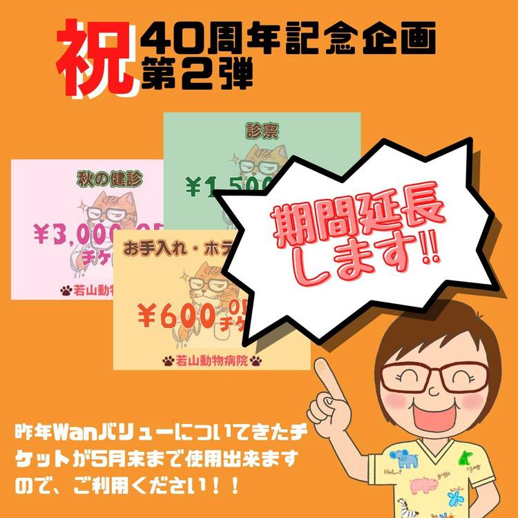 Mixed Media Feed 若山動物病院 Line Official Account