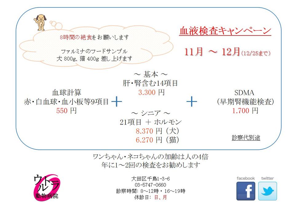 Mixed media feed  ウルトラ動物病院