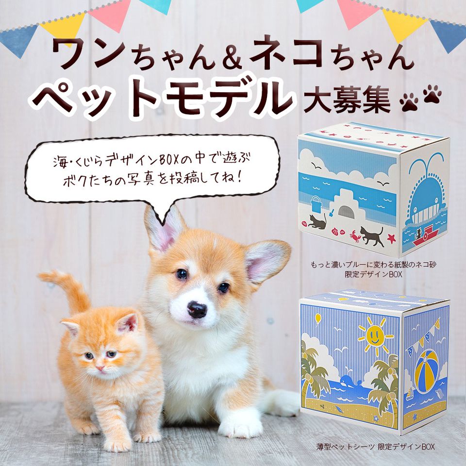 Mixed Media Feed カインズ 木津川店