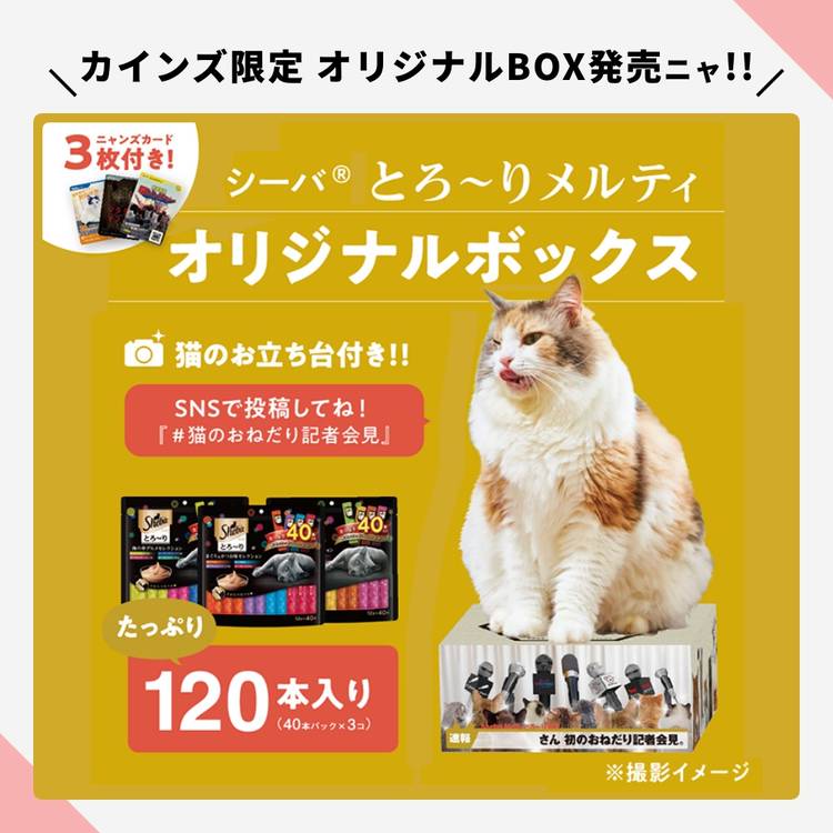 Mixed Media Feed カインズ 東松山高坂店 Line Official Account