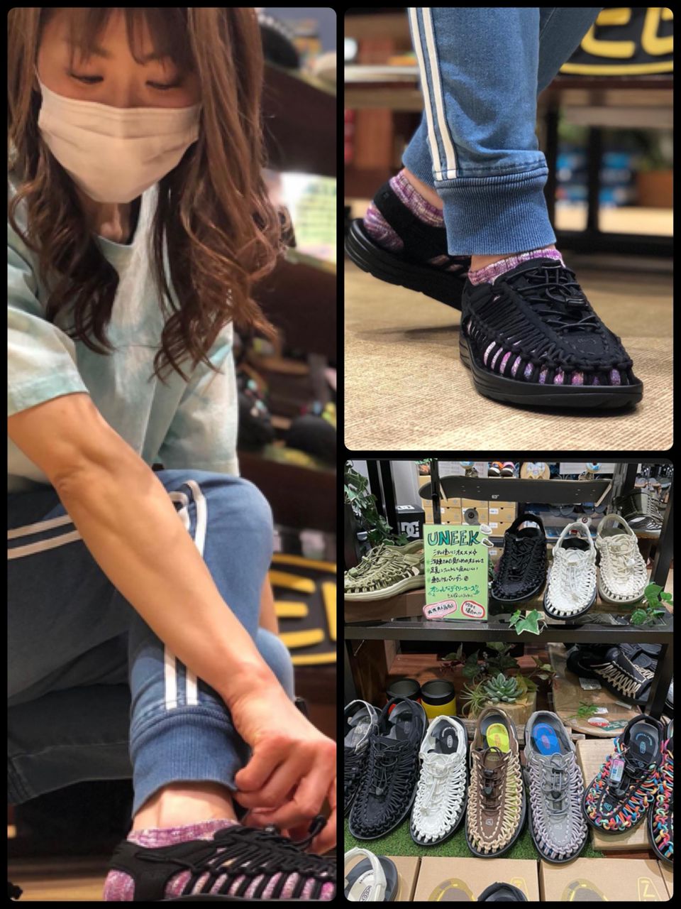 Mixed Media Feed ムラサキスポーツイーアスつくば店