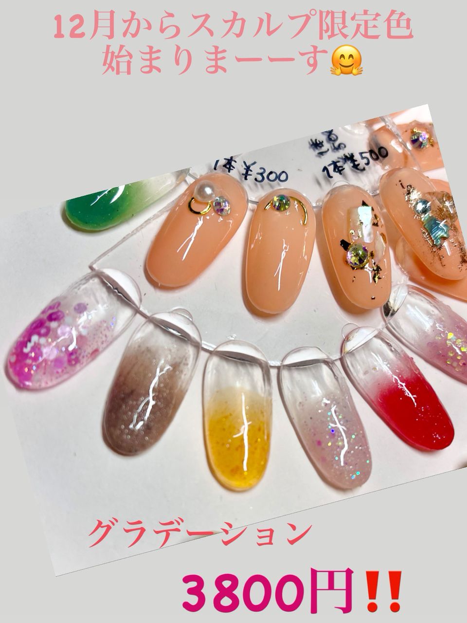 Mixed Media Feed Zizi Nail