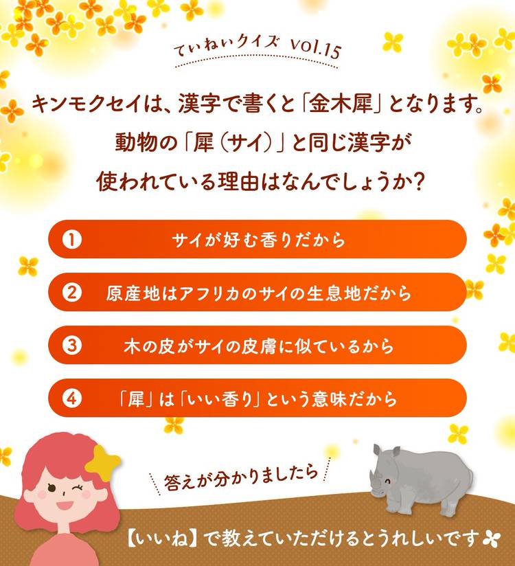 Mixed Media Feed ていねい通販 Line Official Account