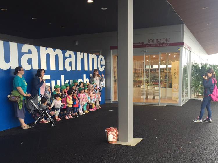 Mixed media feed ワイズプリスクールアンドキンダーガーテン LINE Official Account