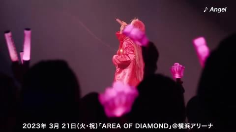 売上 ちゃんみな Area of Diamond 特典バッグ - drsebastiaobarroso.com.br