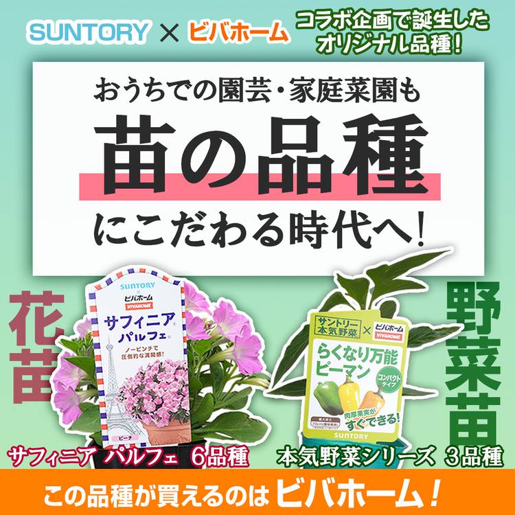 Mixed Media Feed ビバホーム佐久インター店 Line Official Account