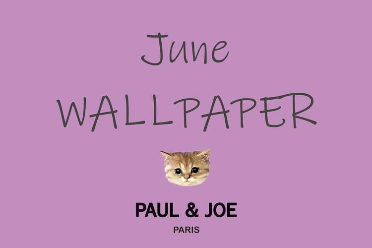 Mixed Media Feed Paul Joe Line Official Account