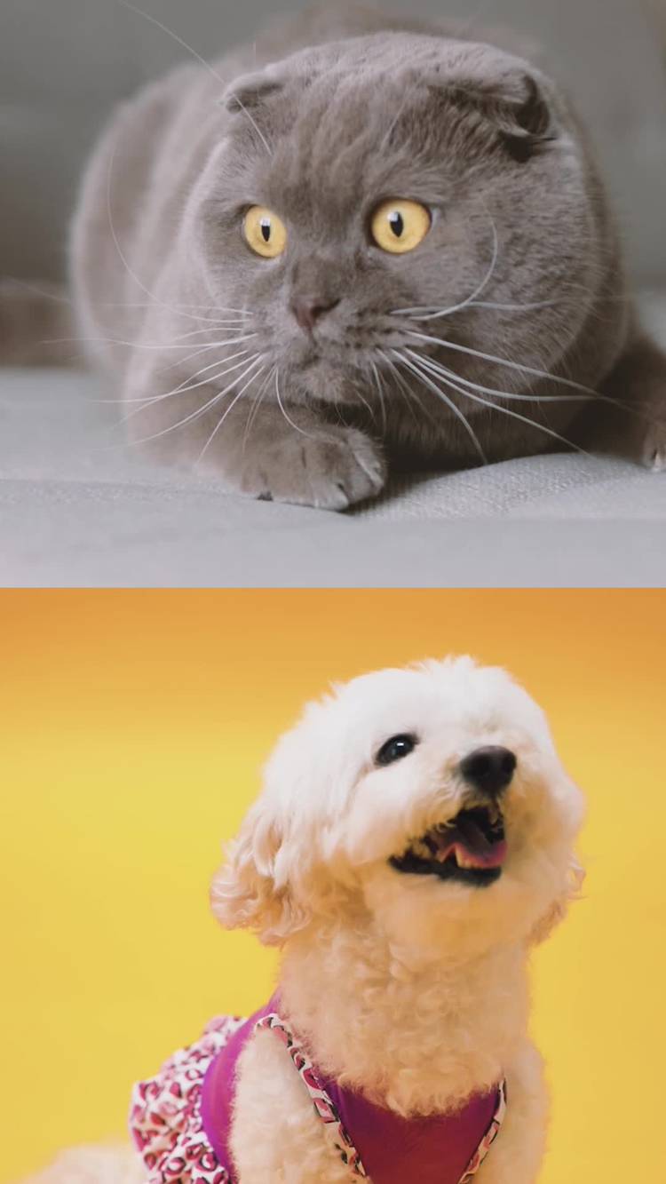 Mixed Media Feed ムサシ上田店 Line Official Account