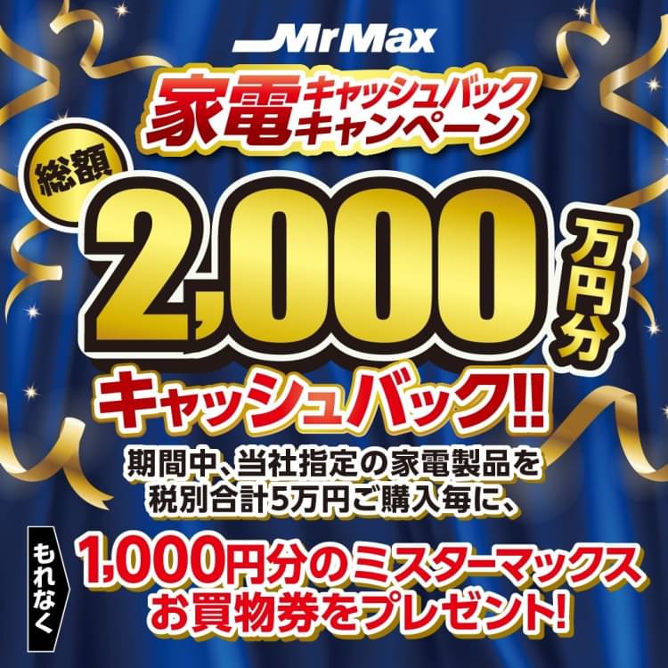 Mr Max お買物券　11.000