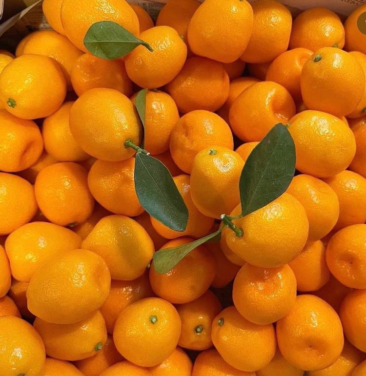 Mixed media feed atelier＆salonはしまや LINE Official Account