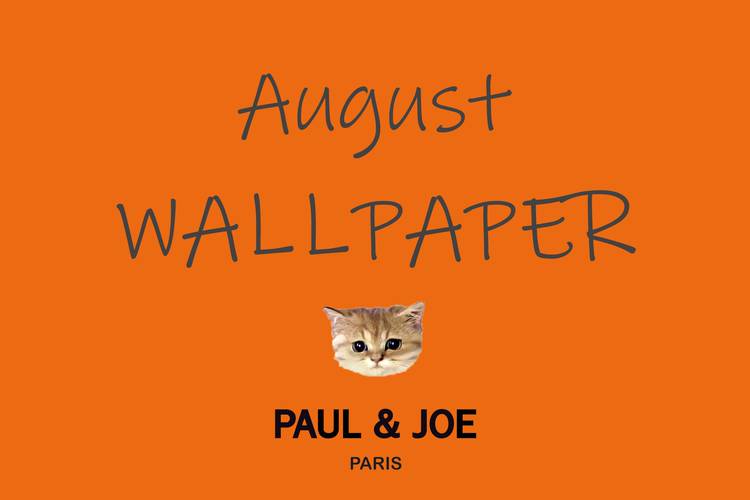 Mixed Media Feed Paul Joe Line Official Account