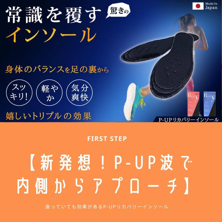 年間ランキング6年連続受賞】 P-UP リカバリーインソール 男性用24