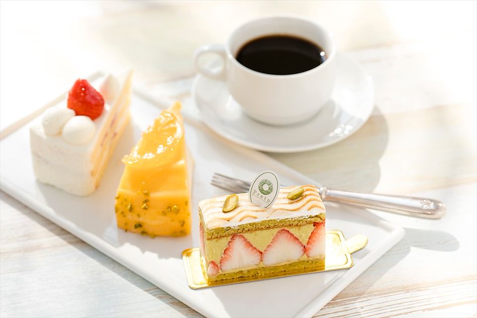 Recent Media 宮崎観光ホテル