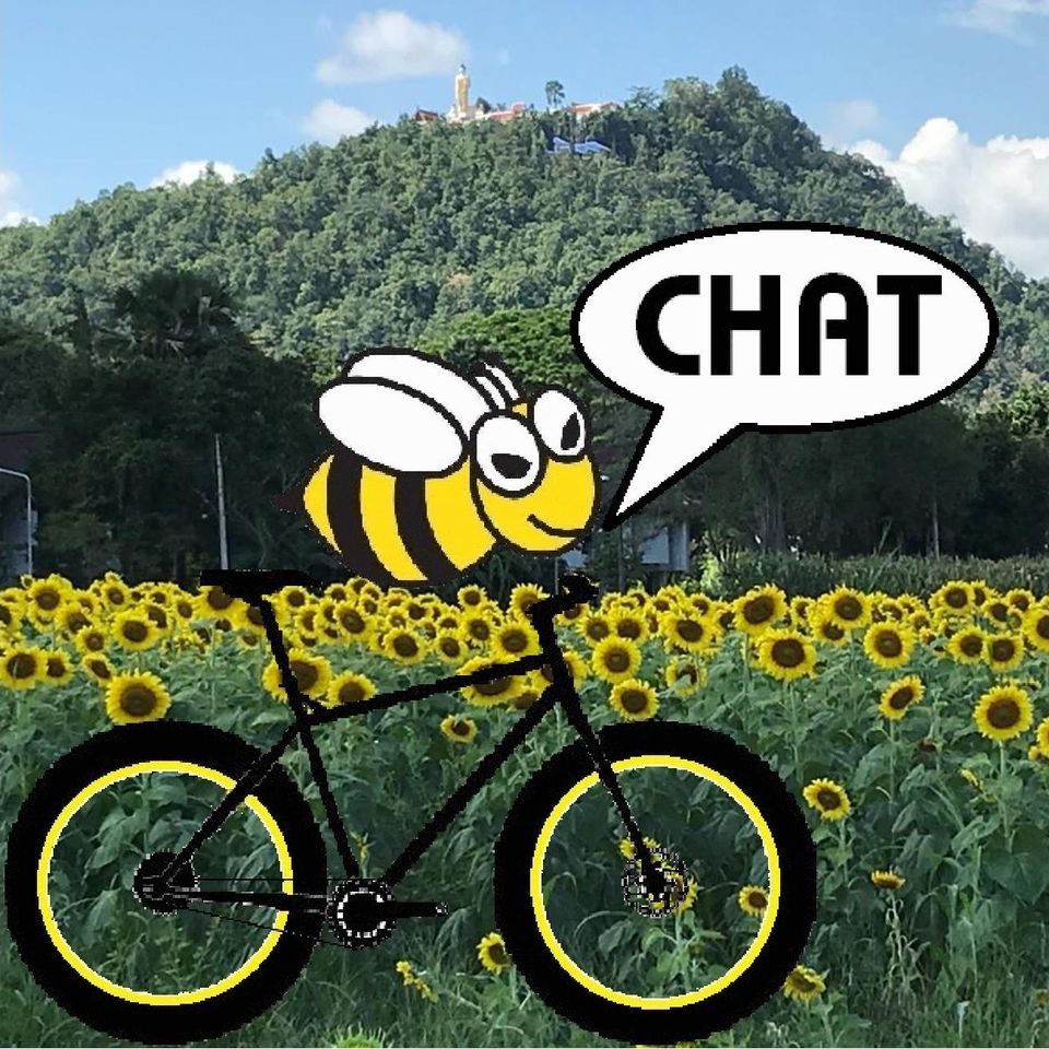 honey bee bike