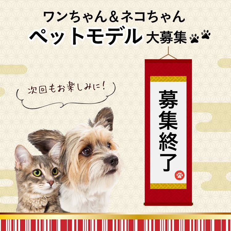 Mixed Media Feed カインズ 東松山高坂店 Line Official Account