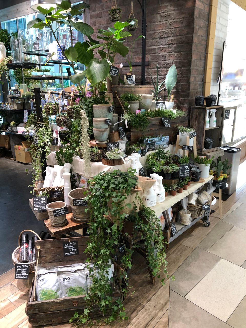Mixed Media Feed 青山フラワーマーケットエスパル仙台店