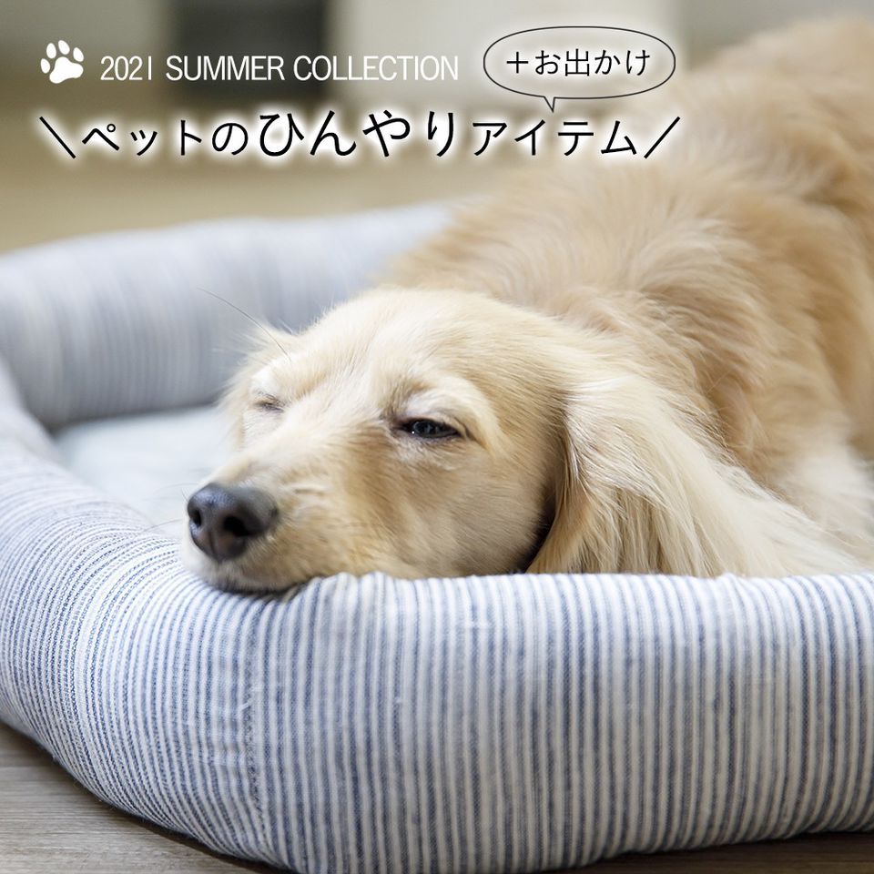 カインズ 常滑店 Line Official Account